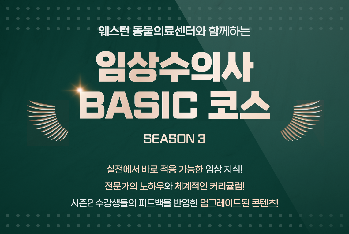웨스턴3