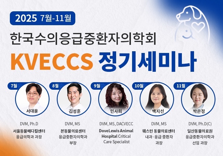 KVECCS 정기 세미나